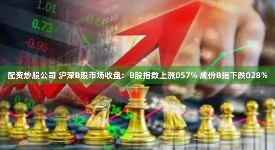 配资炒股公司 沪深B股市场收盘：B股指数上涨057% 成份B指下跌028%