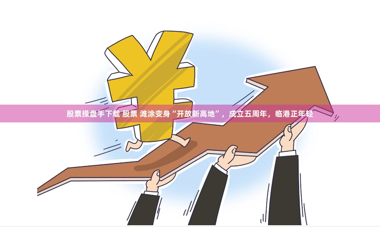 股票操盘手下载 股票 滩涂变身“开放新高地”，成立五周年，临港正年轻