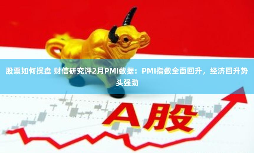 股票如何操盘 财信研究评2月PMI数据：PMI指数全面回升，经济回升势头强劲