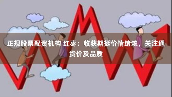 正规股票配资机构 红枣：收获期挺价情绪浓，关注通货价及品质
