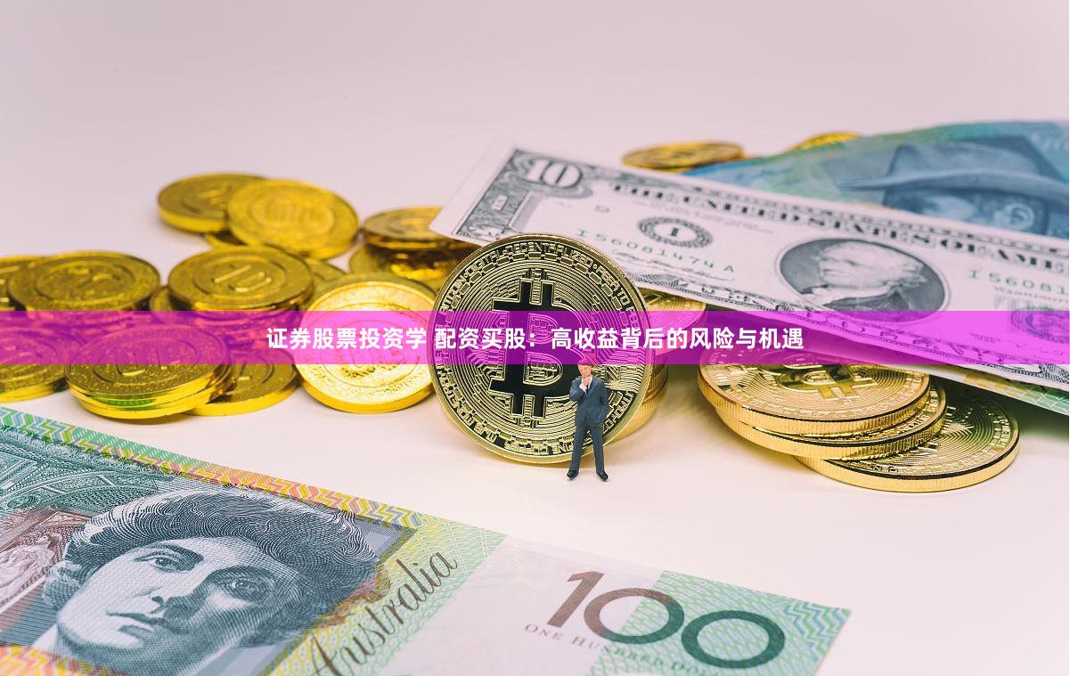 证券股票投资学 配资买股：高收益背后的风险与机遇